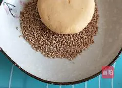 Sweet potato pancake recipe 10