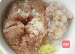 Thousand layer meat pie recipe 2