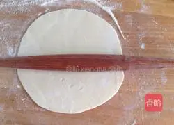 Chicken Burrito Recipe Illustration 8