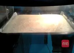 Peanut Butter Cake Roll Recipe Illustration 13