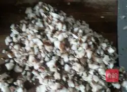 Illustration of making mushroom pie 3