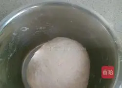 Sesame Sauce Scallion Pancake Recipe Illustration 1