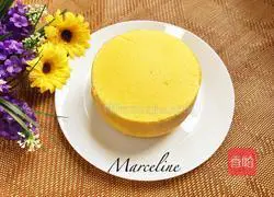 French whole egg sponge cake recipe 9
