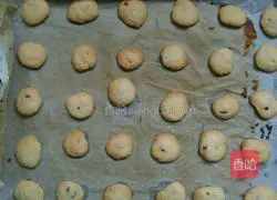 Cranberry shortcake recipe 18