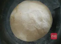 Pork and cabbage pie Illustration of how to do it 8