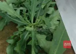 Lean meatloaf with horns Illustration of how to do it 1