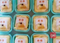 Mango pancake recipe 19