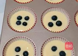 Blueberry Muffin Cake Recipe Illustration 13