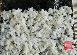 Illustration of homemade sushi 4