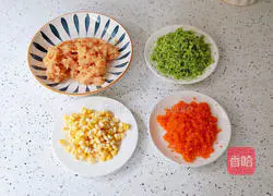 Seasonal Vegetable Chicken Pancake Recipe Illustration 3