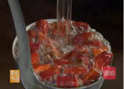 CCTV7 Food Shang Big Carousel