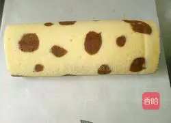 Speckled cake roll recipe 17