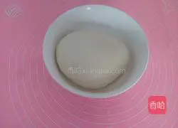 Pork and onion pie recipe 2