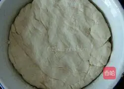 Dudu fresh meat pie? Recipe 1