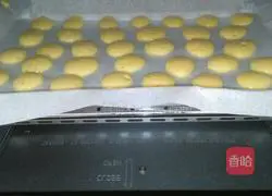 Chicken pancake recipe 12