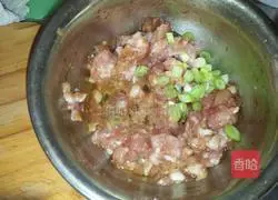 Pork and cabbage pie recipe 1