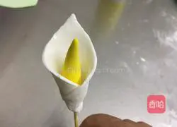 Illustration of how to make fondant cake flowers 5