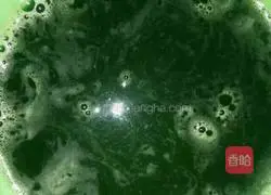 Spinach pancake recipe 2