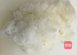 Mango Salmon Sushi Recipe Illustration 1