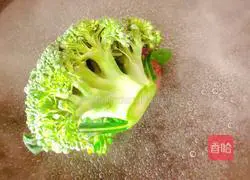 Vegetable Chicken Pancake Recipe Illustration 2