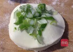 Crispy scallion pancake...Illustration of the gorgeous transformation of dumpling wrapper 6