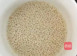 Illustration of how to make sushi 5