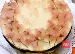 Fashion Mom teaches you how to make dreamy cherry blossom yogurt jelly cheesecake illustration 4