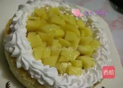 Mango cheesecake recipe 9
