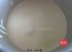 Tiramisu recipe illustration 16