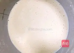 Small melon pancakes Practice illustration 2