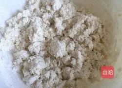 Pork and green onion pie recipe 3