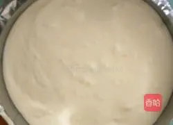 Tiramisu Recipe Illustration 18