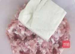 Illustration of making tofu patties 2