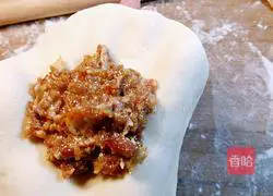 Onion and beef pie recipe 13