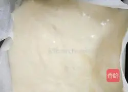 French sponge cake recipe 5