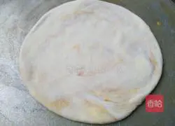 Sesame soy sauce pancake recipe 11