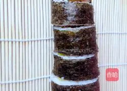 Illustration of home-cooked sushi 8