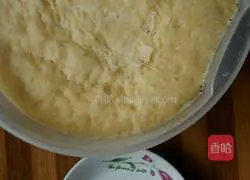 Golden Pancake Recipe Illustration 3