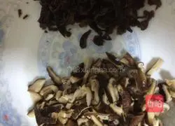 Illustration of how to make mushroom and fungus meatloaf 3