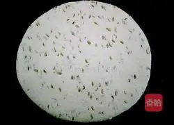 Illustration of how to make dough flatbread 5