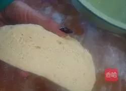 Cornmeal Pig Illustration of how to make fried pancake 1