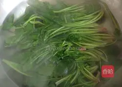 Spinach, carrot and egg pancake recipe 1