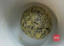 Sesame shortbread recipe 5