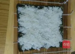 Illustration of how to make small sushi 4