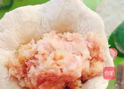 Illustration of making mashed potato and minced meat pancakes 6