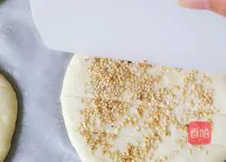 Illustration of making oven version of sesame cakes 15