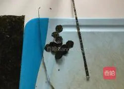 Japanese-style tofu skin sushi--Marine Baymax's recipe illustration 8