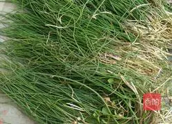 Illustration of how to make chive pancakes 1