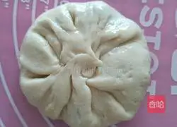 Donkey meat pie recipe 8