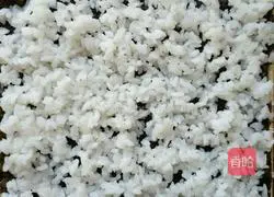 Countryside Illustration of how the cook learns to make sushi 8